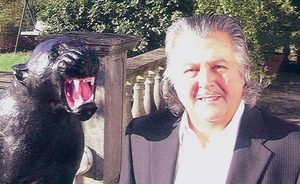 Law of the jungle: property can kill, warns Perloff