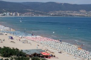 In the Black Sea: coastal and mountain resorts are expected to show profits