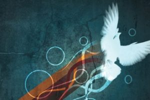 CMYK DOVE CREDIT dtcchc