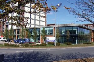 Glowing report: Luminous will turn a profit immediately