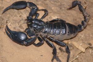 Cautionary tail: loan extensions may reduce “tail period”, which could impact on deal analysis