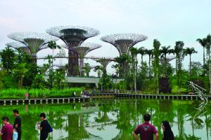 Super Trees in Singapore