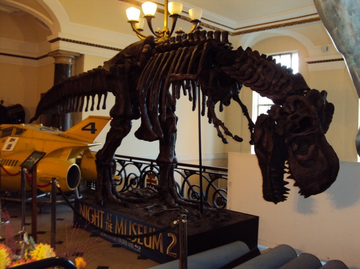 MORNING AFTER Global EMEA Summit 2012 Property Week