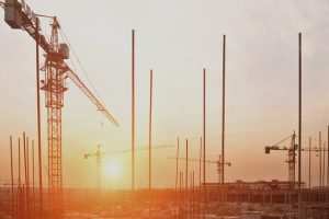 PATRIZIA Cranes_fotolia