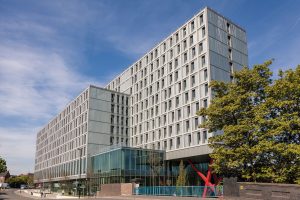 The Collective Old Oak