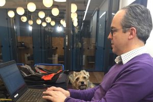 Andrew-Barnes-Bring-Your-Dog-to-work-day-3
