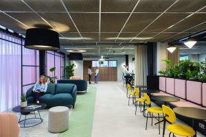 Myo space 123 Victoria Street