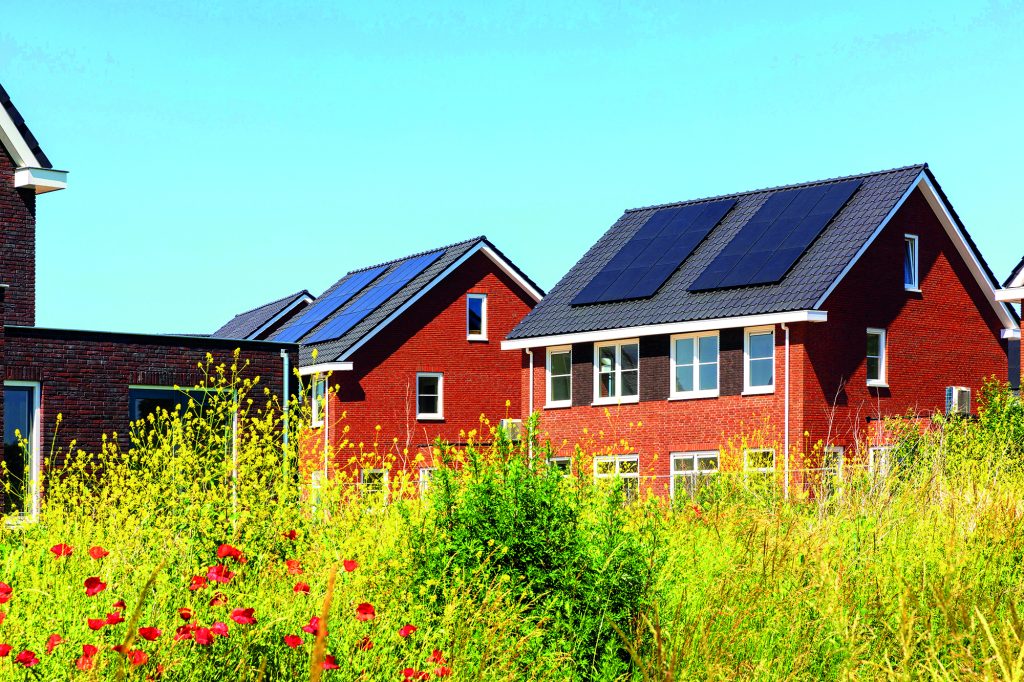 BNG pushed back until January 2024 Property Week