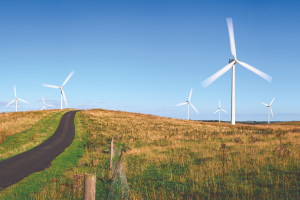 Wind farm_credit_shutterstock_Dave Head_2052020306