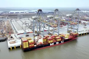 MSC-Sena-arrives-at-London-Gateway_DP-World-amend-300x200.webp