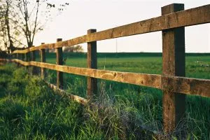 Farm_fence_credit_Wikimedia-Commons_Lewis-Collard-300x200.webp