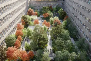 Maple House's redeveloped courtyard