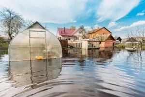 Flooded-garden-and-house-shutterstock_2158855173-George-Trumpeter-300x200.webp